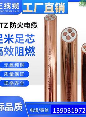 BTTZ 1*16 刚性矿物质绝缘防火电缆BTTVZ/ WD-BTTVZ/BTTQ / BTTVZ