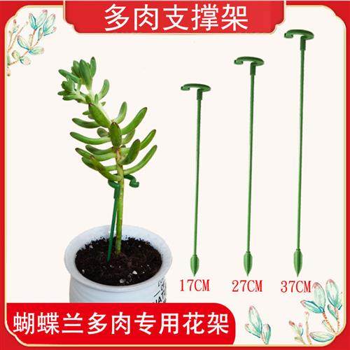 多肉蝴蝶兰花架支架植物盆栽花卉造型支撑杆固定防倒伏护叶架,鲜花速递/花卉仿真/绿植园艺,花架,淘宝优惠券,粉丝福利购,淘宝优惠卷