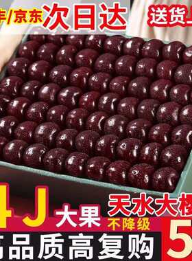 甘肃天水大樱桃新鲜水果4J特大果3斤孕妇水果国产车厘子整箱5斤装