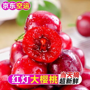 樱桃红灯樱桃新鲜水果应季现摘甘肃天水大樱桃露天现摘现发大樱桃