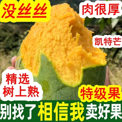 四川攀枝花凯特芒果青皮新鲜当季水果特大果整箱10斤孕妇包邮甜心