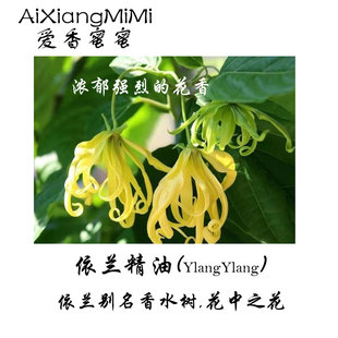 爱香蜜蜜依兰单方精油天然植物精油浓郁醇香日常扩香依兰精油