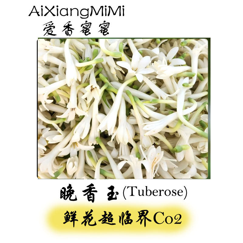 中国晚香玉单方精油天然植物香薰香料正品天然扩香超临界萃取,美容护肤/美体/精油,单方精油,淘宝优惠券,粉丝福利购,淘宝优惠卷