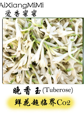 中国晚香玉单方精油天然植物香薰香料正品留香持久冷香仪