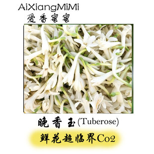 中国晚香玉单方精油天然植物香薰香料正品留香持久冷香仪