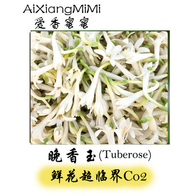 中国晚香玉单方精油天然植物香薰香料正品留香持久冷香仪