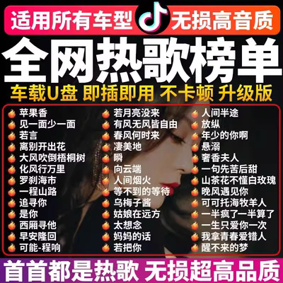 真无损音质--车载音乐U盘！
