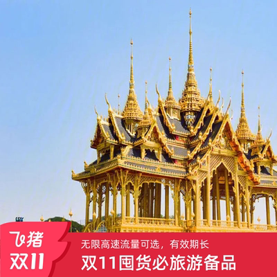 新马泰电话卡5G/4G手机上网卡东南亚泰国越南印尼马来sim无限流量