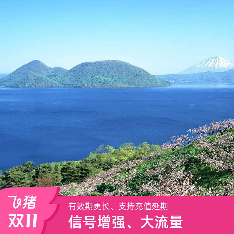 日本电话卡