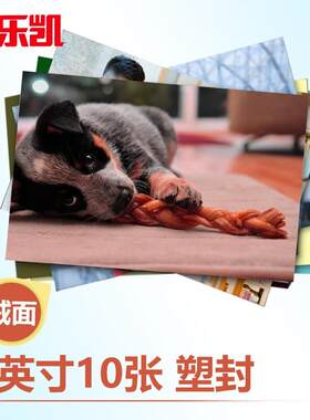 乐凯塑封照片洗照片过塑8英寸绒面10张照片冲印在线冲印冲洗照片