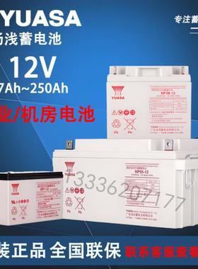 汤浅铅酸免维护蓄电池NP12V24ah/65ah/100ah/120ah/150ah/200ah