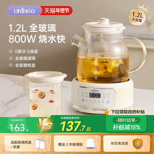 七彩叮当养生壶纯玻璃恒温家用多功能办公室小型烧水壶炖煮花茶壶