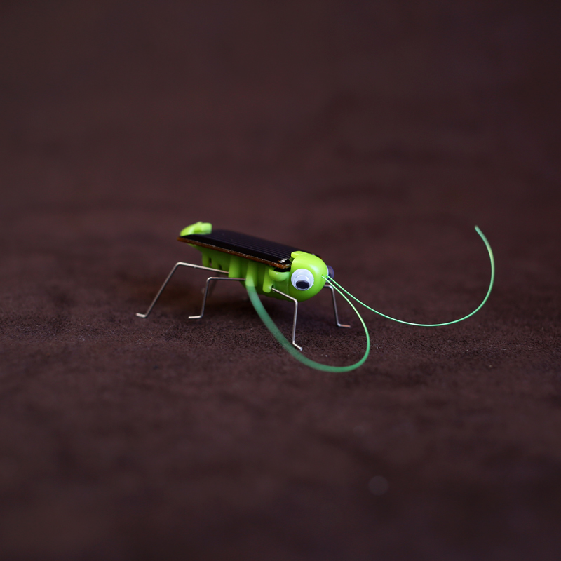 太阳能蚂蚱 无聊玩具另类小孩益智昆虫宠物猫玩具太阳下看蚂蚱动