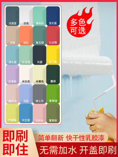 乳胶漆家用室内水性环保防水内墙漆白色彩色自刷墙装修漆