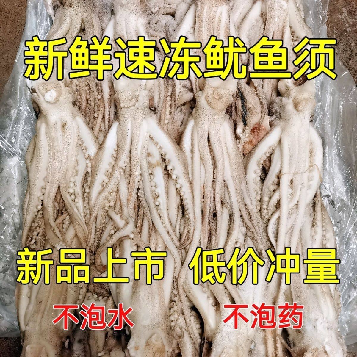 鱿鱼头新鲜海鲜鱿鱼须国产海捕阿根廷鱿鱼头原料烧烤铁板穿串鱿鱼