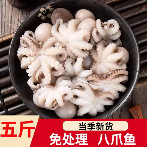 新鲜八爪鱼，去内脏免清理