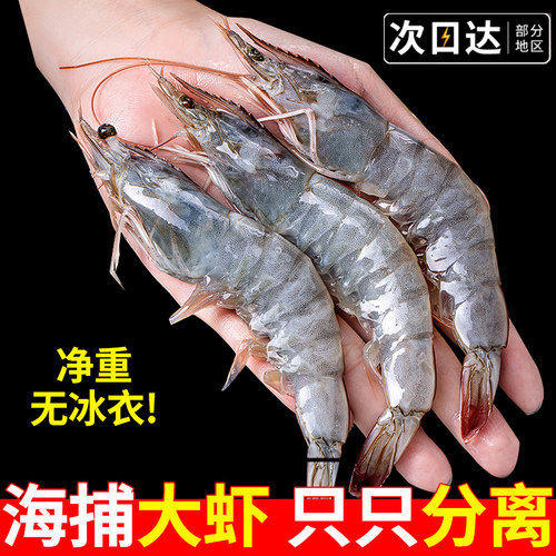 盐冻大虾海虾白灼大虾