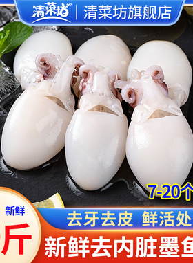墨鱼仔生鲜冷冻新鲜小墨鱼仔迷你小墨鱼乌贼鲜活去皮去内脏商用