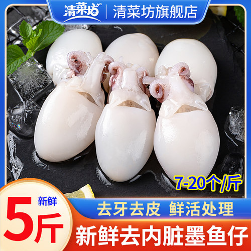 墨鱼仔生鲜冷冻新鲜小墨鱼