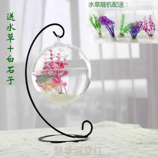 面斗金鱼缸鱼缸缸办公桌玻璃鱼缸小型{小家用悬挂水族箱创意迷你