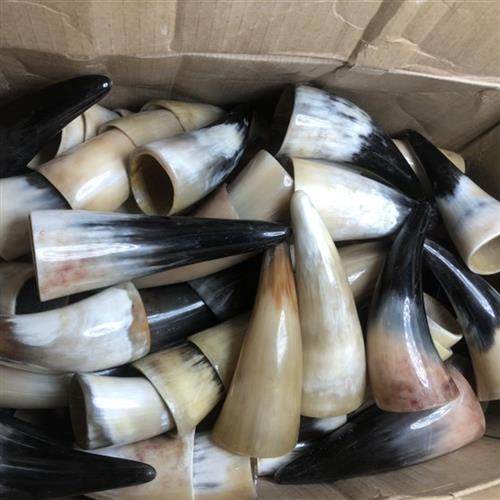 已抛光黄牛角拔罐牛角火罐蝈蝈罐挤线香泥檀香空心不漏气摆件饰品