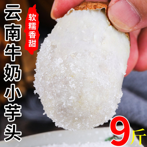 新鲜现挖！云南小芋头