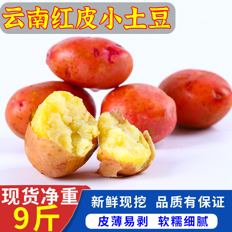 云南小土豆新鲜红皮黄心马铃薯小洋芋新鲜现挖当季蔬菜整箱9斤