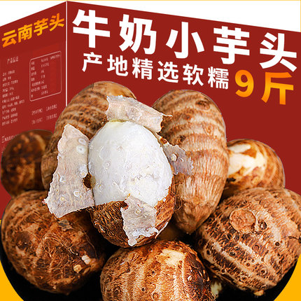 言片光芋头云南牛奶小芋头粉糯毛芋头香芋农家新鲜蔬菜