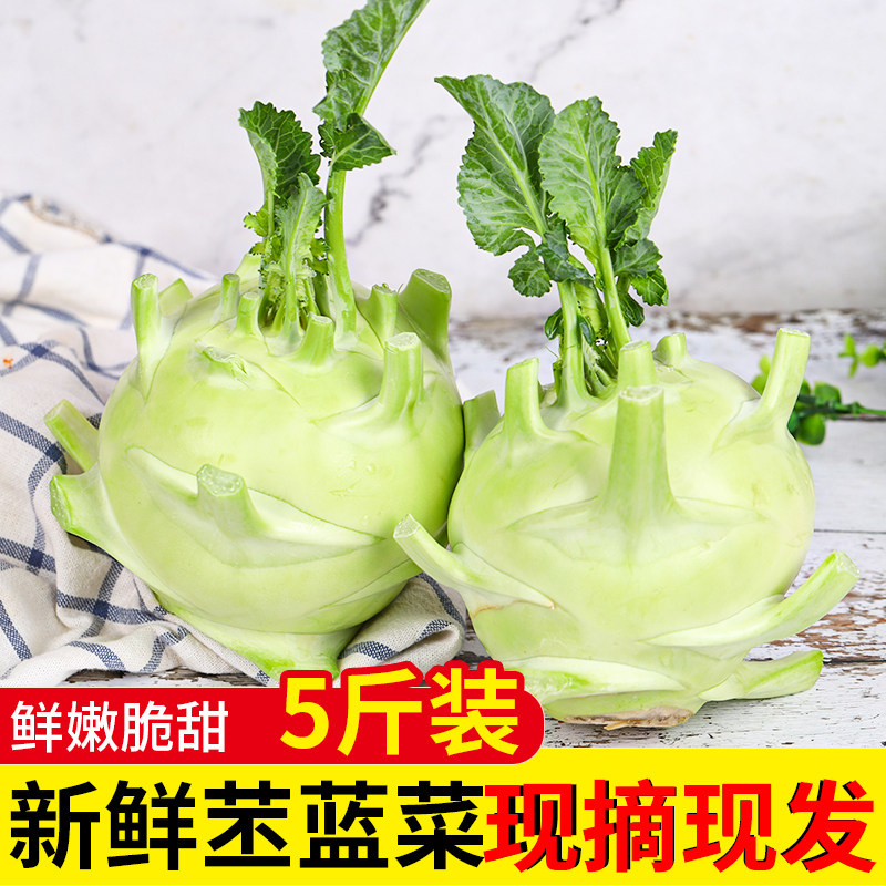 云南特产新鲜苤蓝甘蓝撒了包邮