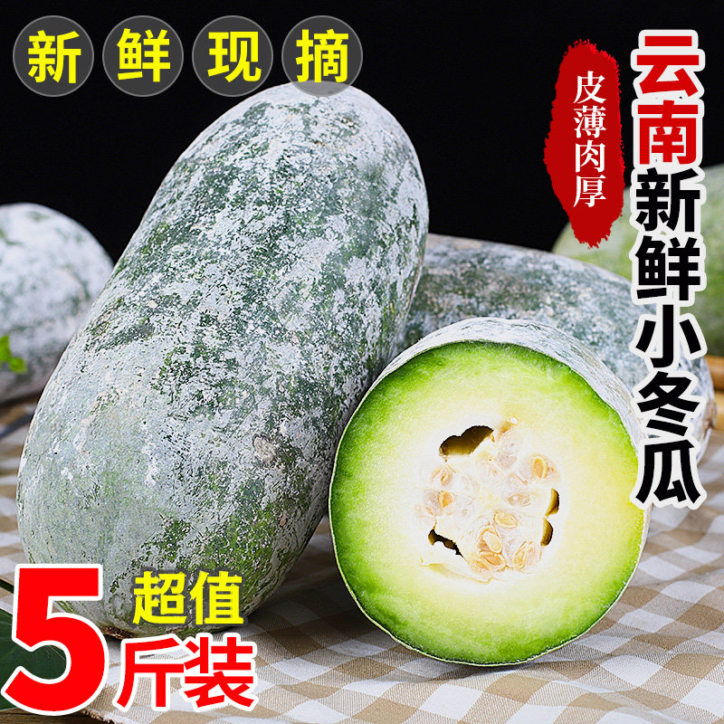 云南新鲜小冬瓜当季小长节白冬瓜翠玉嫩冬瓜农家自种蔬菜包邮5斤