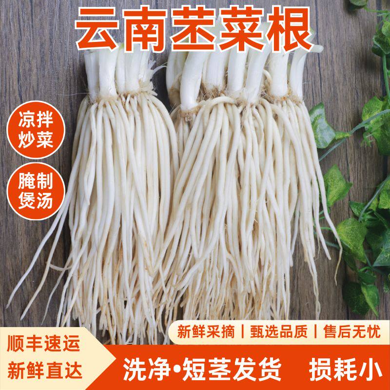 云南新鲜苤菜根新鲜现挖