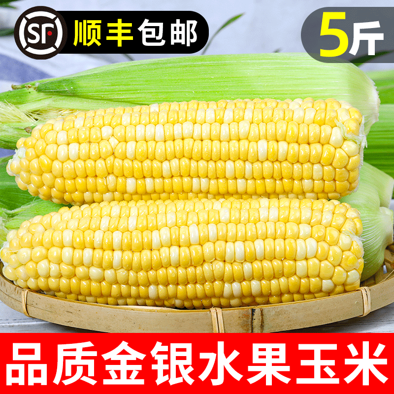 金银爆浆应当季现摘包邮整箱玉米