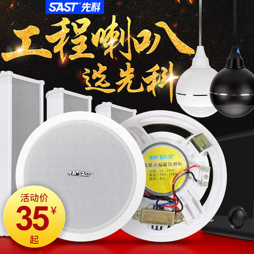 先科吸顶壁挂防水音柱吊球喇叭