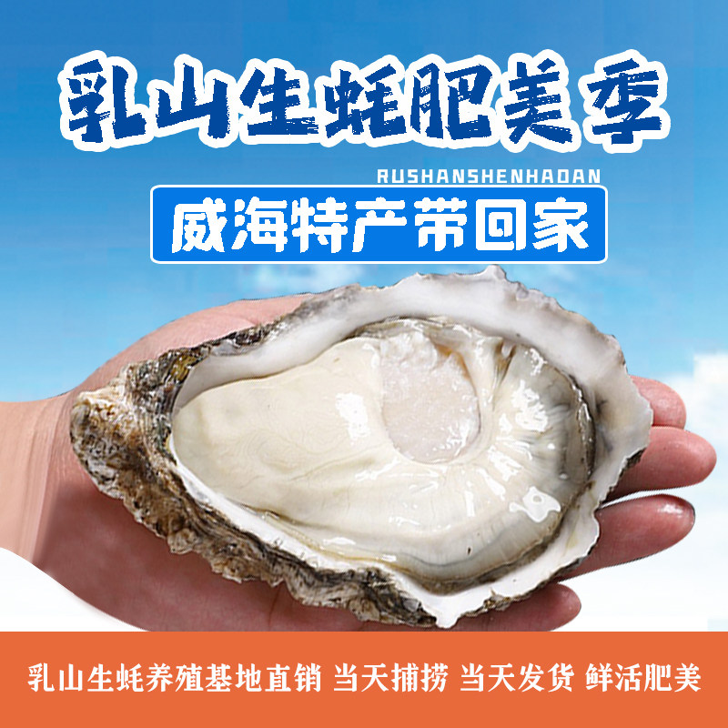 乳山鲜活生蚝海蛎子净重9.5斤大生蚝刺身级净化顺丰包邮