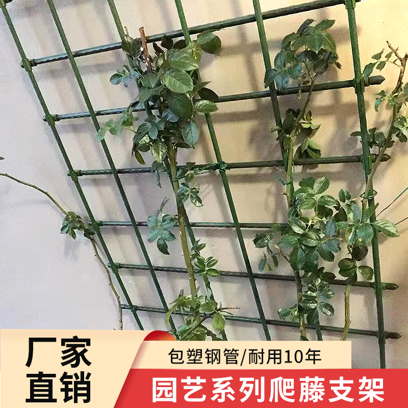 爬藤架网格花墙架固定支撑杆花支撑架户外庭院植物月季攀爬支架杆-封面