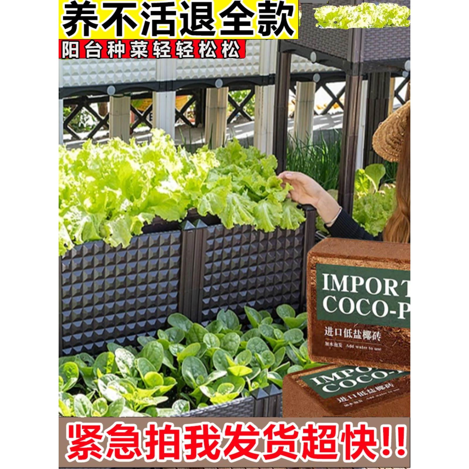 椰砖营养土通用型壤糠粗