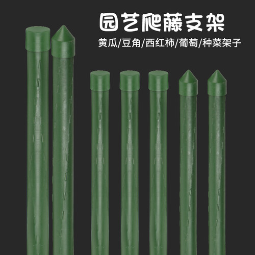 爬藤架植物蔷薇蟹爪西红柿专用