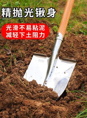 白钢铁锹不锈钢加厚大号钢锹种菜挖土铲子农用不生锈方锹精抛光
