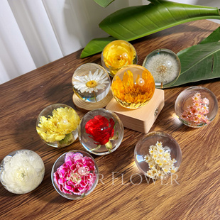 向日葵滴胶成品永生花蒲公英植物标本水晶球八音盒小夜灯告白礼物