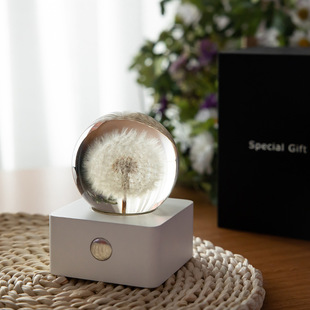 滴胶摆件家居蒲公英水晶球小夜灯永生花植物标本树脂创意饰品礼物