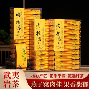 武夷岩茶燕子窠肉桂茶精选正宗大红袍茶叶乌龙茶新茶小包装 500g