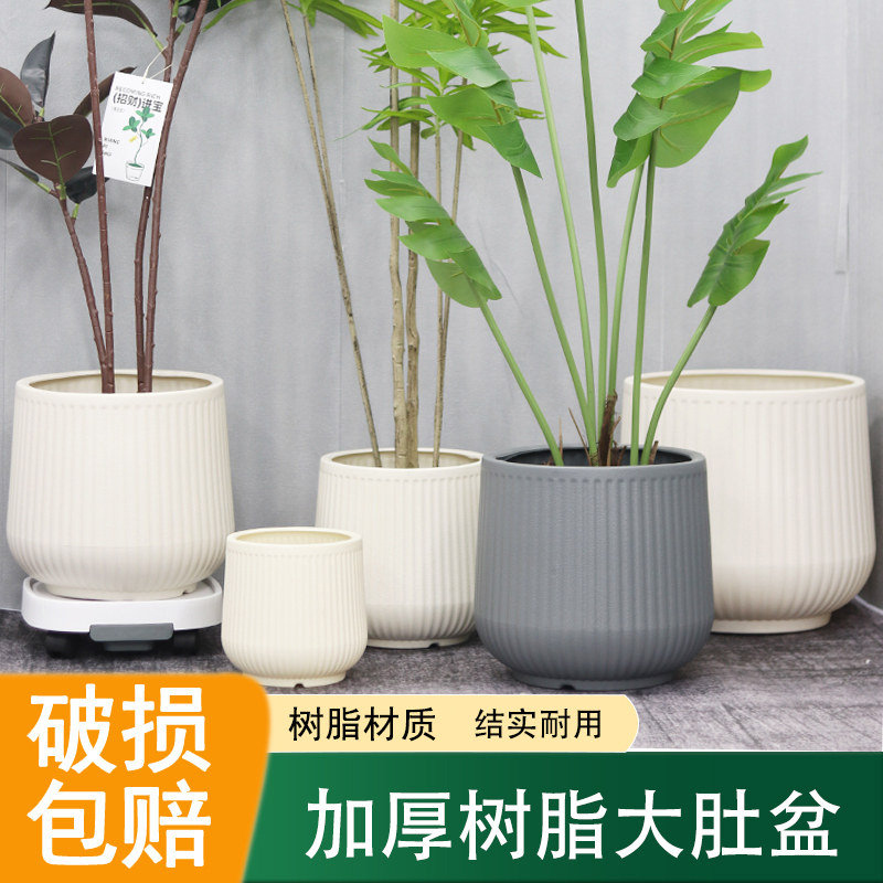 塑料花盆轻奢高级感发财树盆景虎皮兰蝴蝶兰专用室内大型绿植盆,鲜花速递/花卉仿真/绿植园艺,花盆,淘宝优惠券,粉丝福利购,淘宝优惠卷