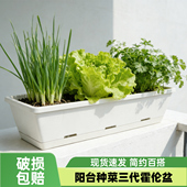 阳台霍伦花盆长方形种菜盆种菜神器家庭阳台蔬菜草莓盆栽专用花箱