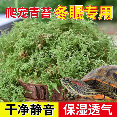 乌龟冬眠干苔藓爬宠专用