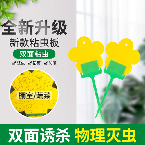 醉花双面粘虫花型粘虫板