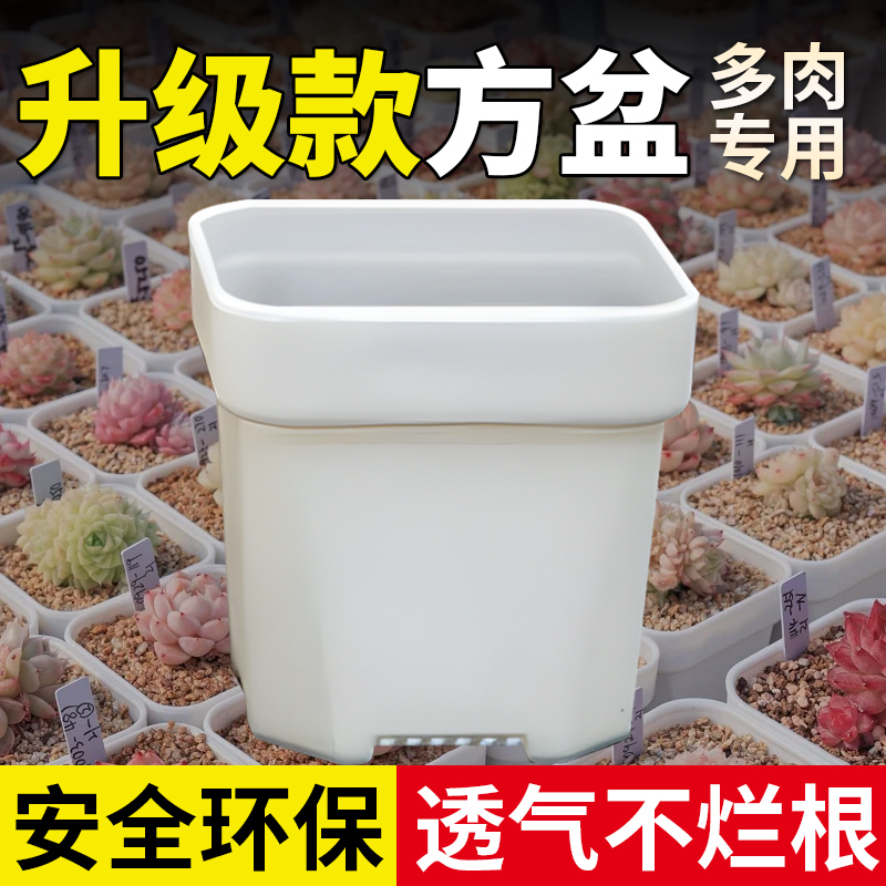 加厚小白方多肉花盆特厚