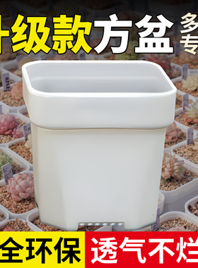 热卖八角加厚小白方多肉花盆特厚塑料方形植物叶插育苗盆多肉方盆
