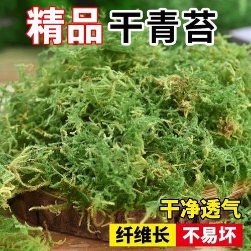 花多多营养土纯天然青苔透水透气