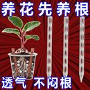 盆土透气通气管花卉防烂根工具花盆土壤通风导管绿植透气辅助绿植