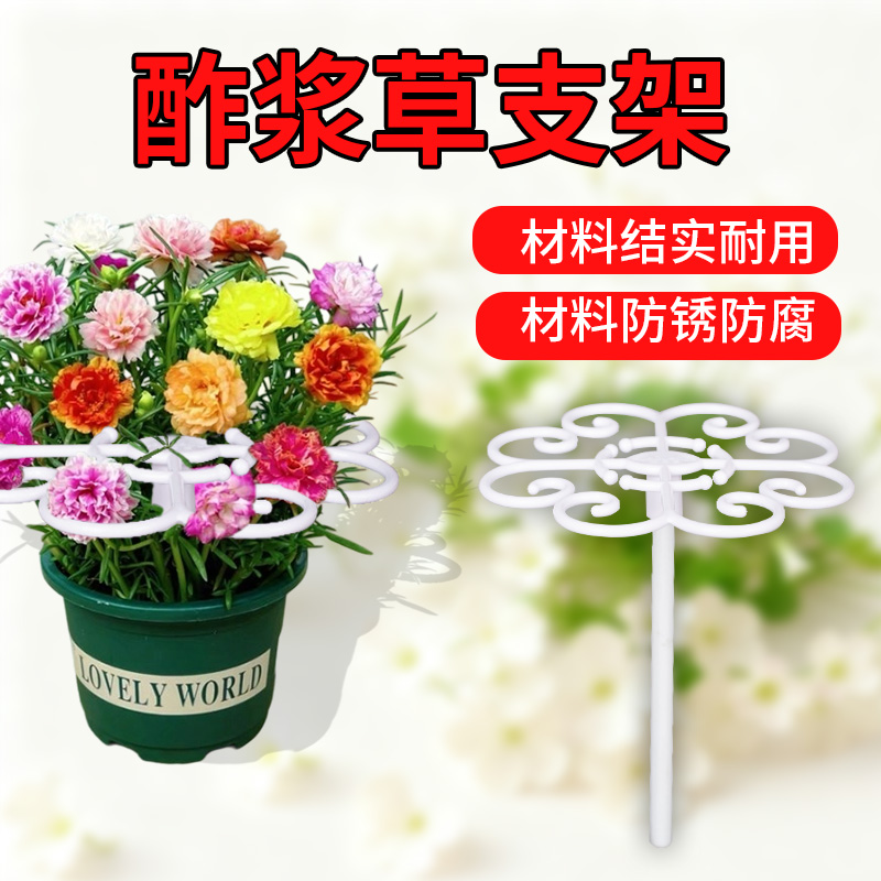 花多多酢浆草专用花架支架阳台室内固定支撑架防倒伏简约造型